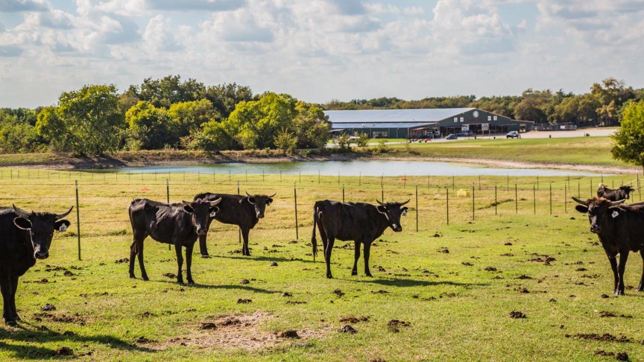 Nrs Event Center & Guest Ranch Hotell Decatur Exteriör bild